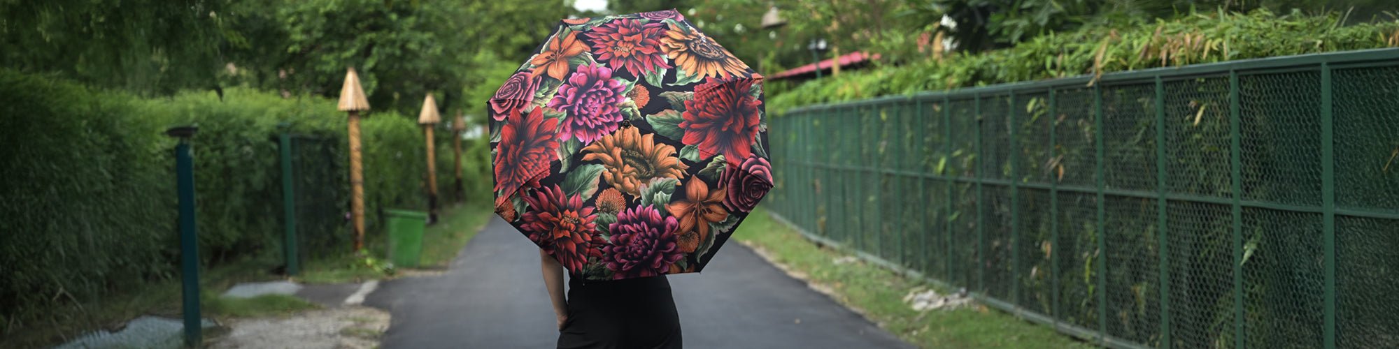 Umbrellas - Anuschka (CA)