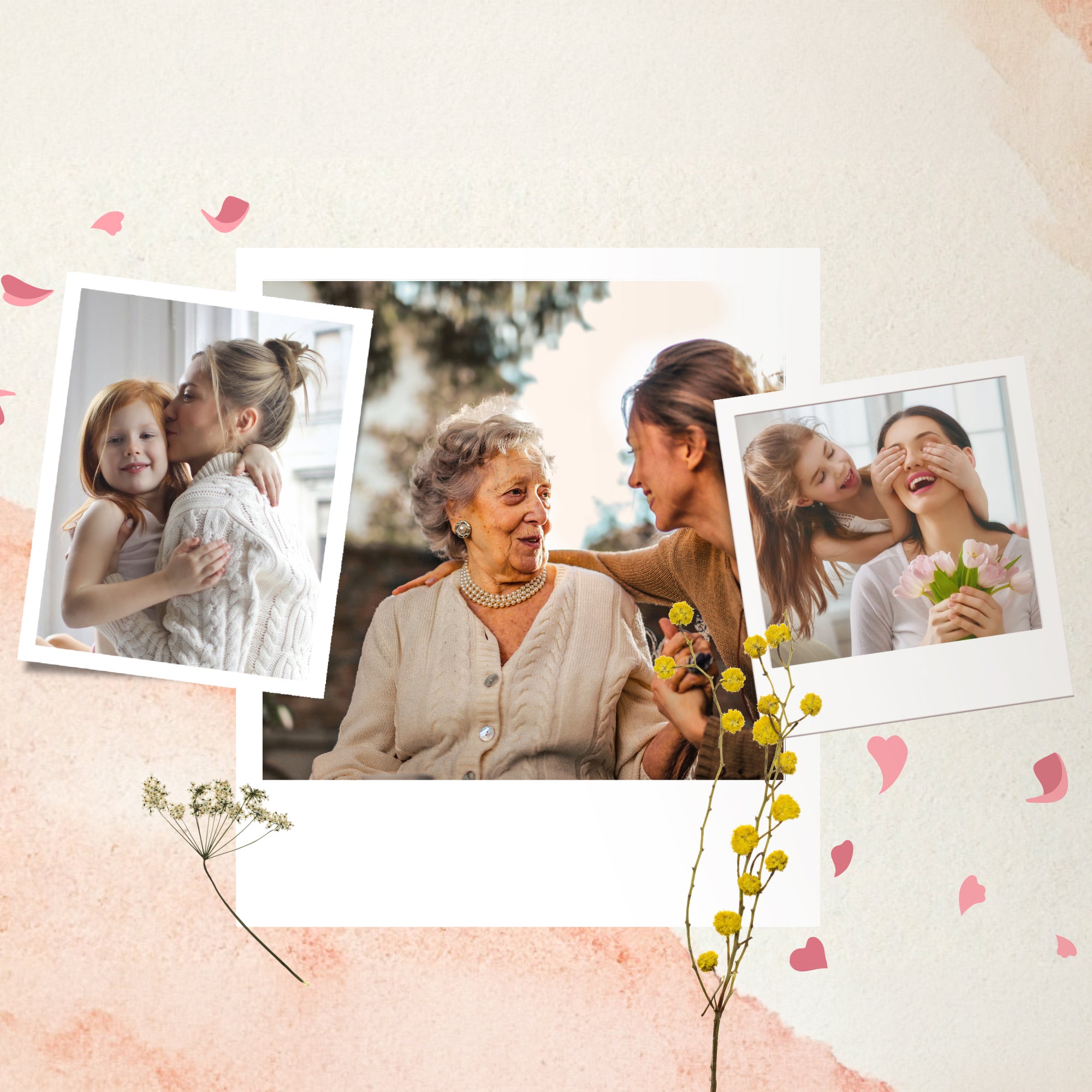 トランククッション テキスタイルデザイナー UNA Sea Treasures – Anuschka (CA)