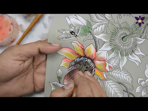 Checkbook Cover - 1056